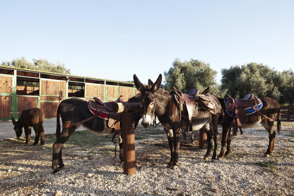 Willa Agriturismo Agrimilo Noto Zewnętrze zdjęcie