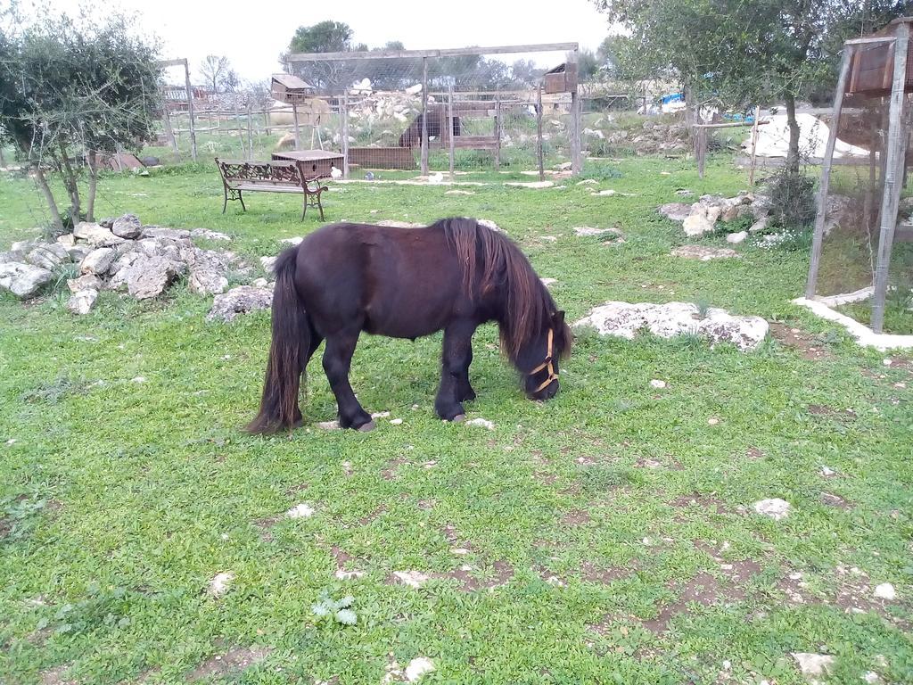Willa Agriturismo Agrimilo Noto Zewnętrze zdjęcie