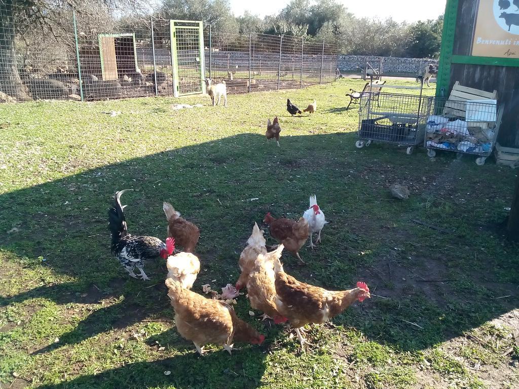 Willa Agriturismo Agrimilo Noto Zewnętrze zdjęcie